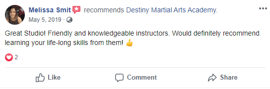 Adult 2, Destiny Martial Arts Academy
